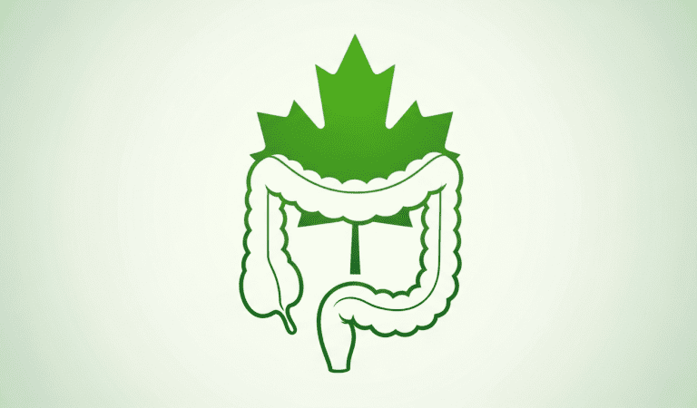 Ultimate Gut Health Guide for Canadians Over 50: Natural Tips for a Healthy Digestive System