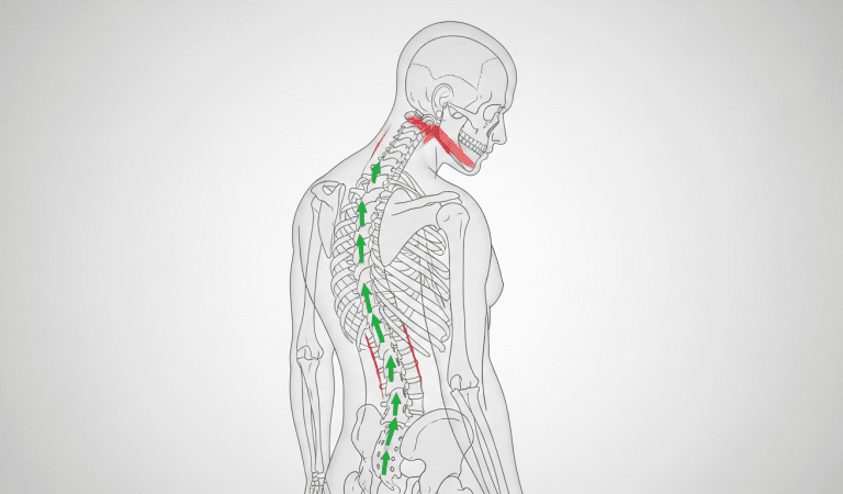Posture Correction for 41–50 Year Olds in the UK: Ultimate Step-by-Step Back Health Guide