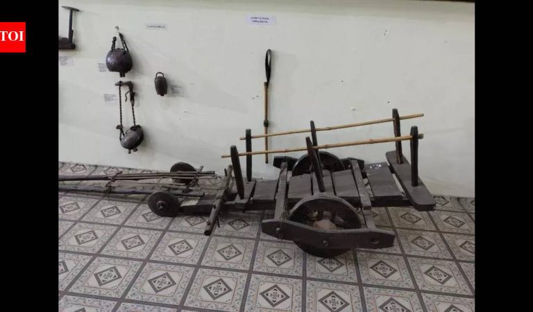 Lucknow University Anthropology 75th Anniversary: Revives Classical Branches & Launches Anthropotherapy and Indian Knowledge System Courses