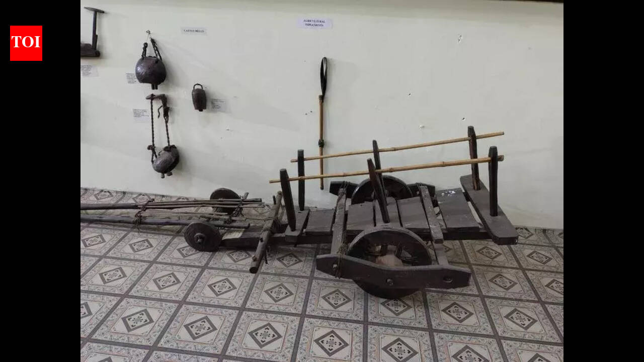 Lucknow University Anthropology 75th Anniversary: Revives Classical Branches & Launches Anthropotherapy and Indian Knowledge System Courses News