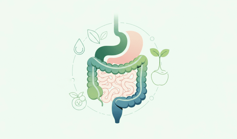 Boost Your Gut Health Naturally: The Ultimate Guide for Young Adults in Luxembourg