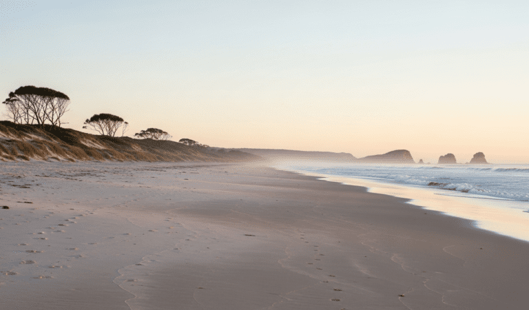 Digital Detox for Young Adults in Australia: A Complete Guide to Boost Focus, Productivity & Mental Well-Being