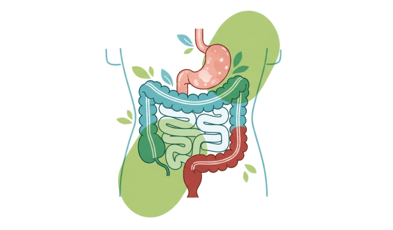 Ultimate Natural Gut Health Guide for Young Adults in Luxembourg (Ages 23–30)