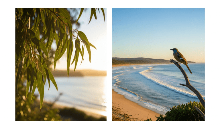 5-Step Morning Routine for Young Adults in Australia to Boost Productivity and Well-Being