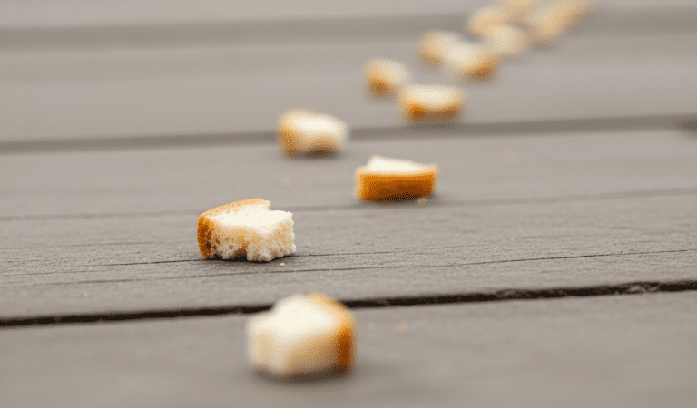 Breadcrumbing in Dating: 28 Signs, Why It Happens & How to Protect Yourself