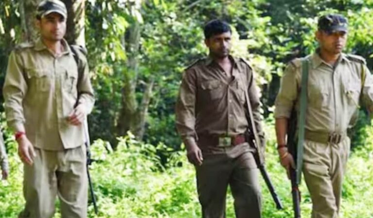 Maharashtra Forest Vigilance Army Launched to Secure Regularization for 12,991 Temporary Guards