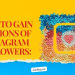 How to Gain Millions of Instagram Followers