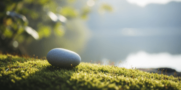 Mindfulness for Stress Relief: Your 5-Step Daily Guide Health & Fitness