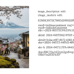 Master Japanese Travel: 15 Essential Phrases & Etiquette Tips for 31–40-Year-Olds Travel