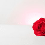 Cute Texts for Your Girlfriend: 50+ Sweet, Romantic & Flirty Messages to Make Her Smile Dating Tips
