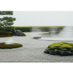 Essential Japanese Language Tips for 31–40-Year-Old Travelers Visiting Japan Travel