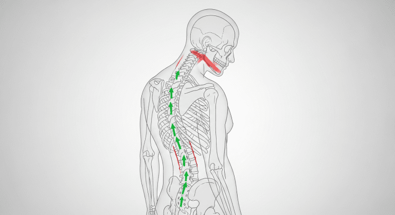 Posture Correction for 41–50 Year Olds in the UK: Ultimate Step-by-Step Back Health Guide Health & Fitness