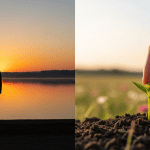 31 Truths to Ignite Hope and Find Love After Heartbreak Dating Tips