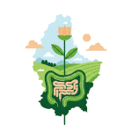 Natural Gut Health Guide for Young Adults in Luxembourg Health & Fitness
