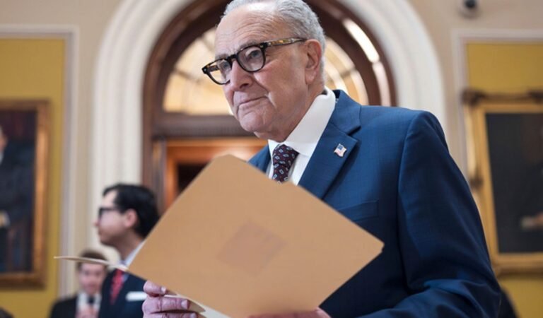 Senate Democrat $1.2T Deal Averts Government Shutdown, Puts DHS Reforms on Hold Until 2026