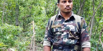 Maharashtra Forest Vigilance Army Launched to Secure Regularization for 12,991 Temporary Guards News