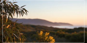 Natural Sleep Remedies for Young Adults in Australia: The Ultimate Guide to Better Sleep Ai