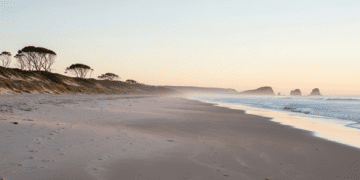 Digital Detox for Young Adults in Australia: A Complete Guide to Boost Focus, Productivity & Mental Well-Being Personal Growth