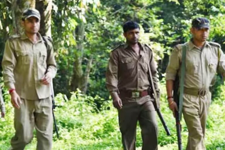 Maharashtra Forest Vigilance Army Launched to Secure Regularization for 12,991 Temporary Guards News